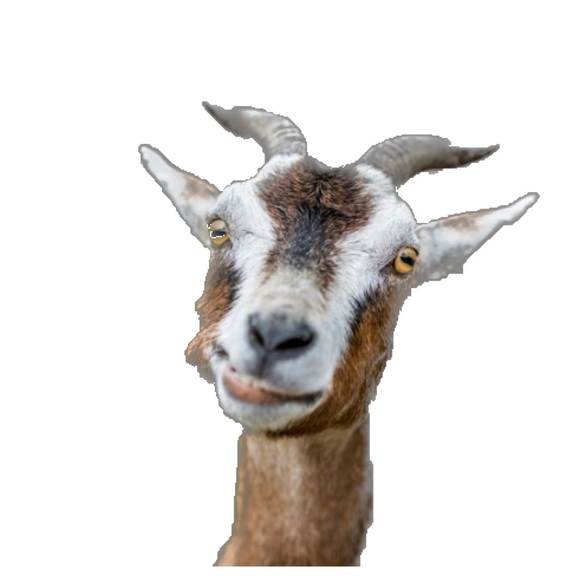 mikekeitt